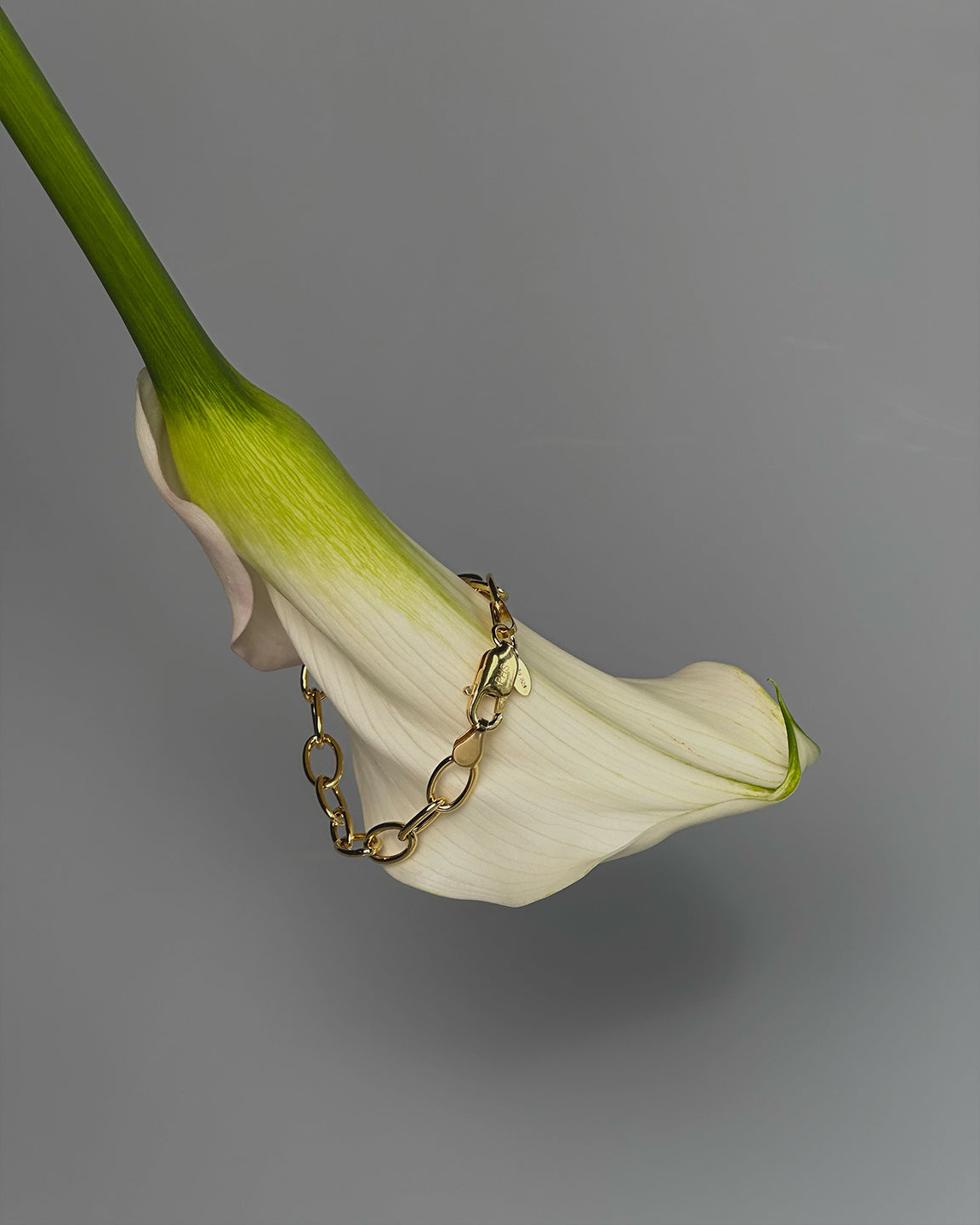 Link Armbånd Medium